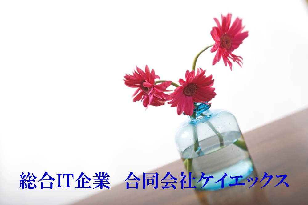 合同会社ケイエックス